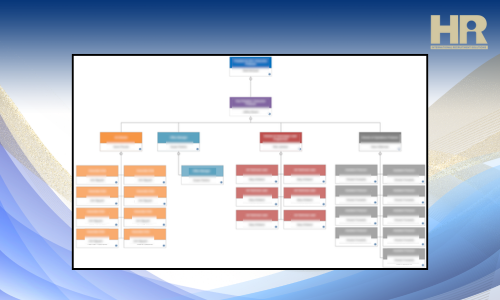 Organizational Chart